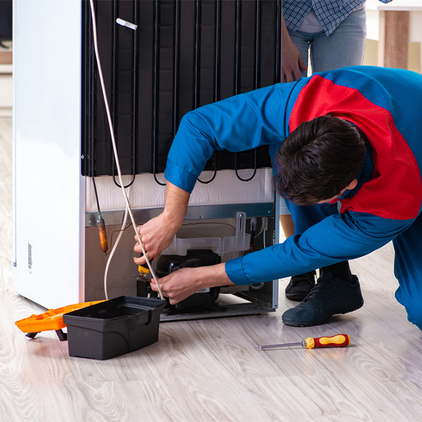 what are the common refrigerator repair services in Marine Illinois